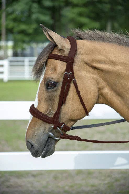 Henri de Rivel Pro Mono-Crown Padded Wide Noseband Bridle: Australian Nut / Oversize