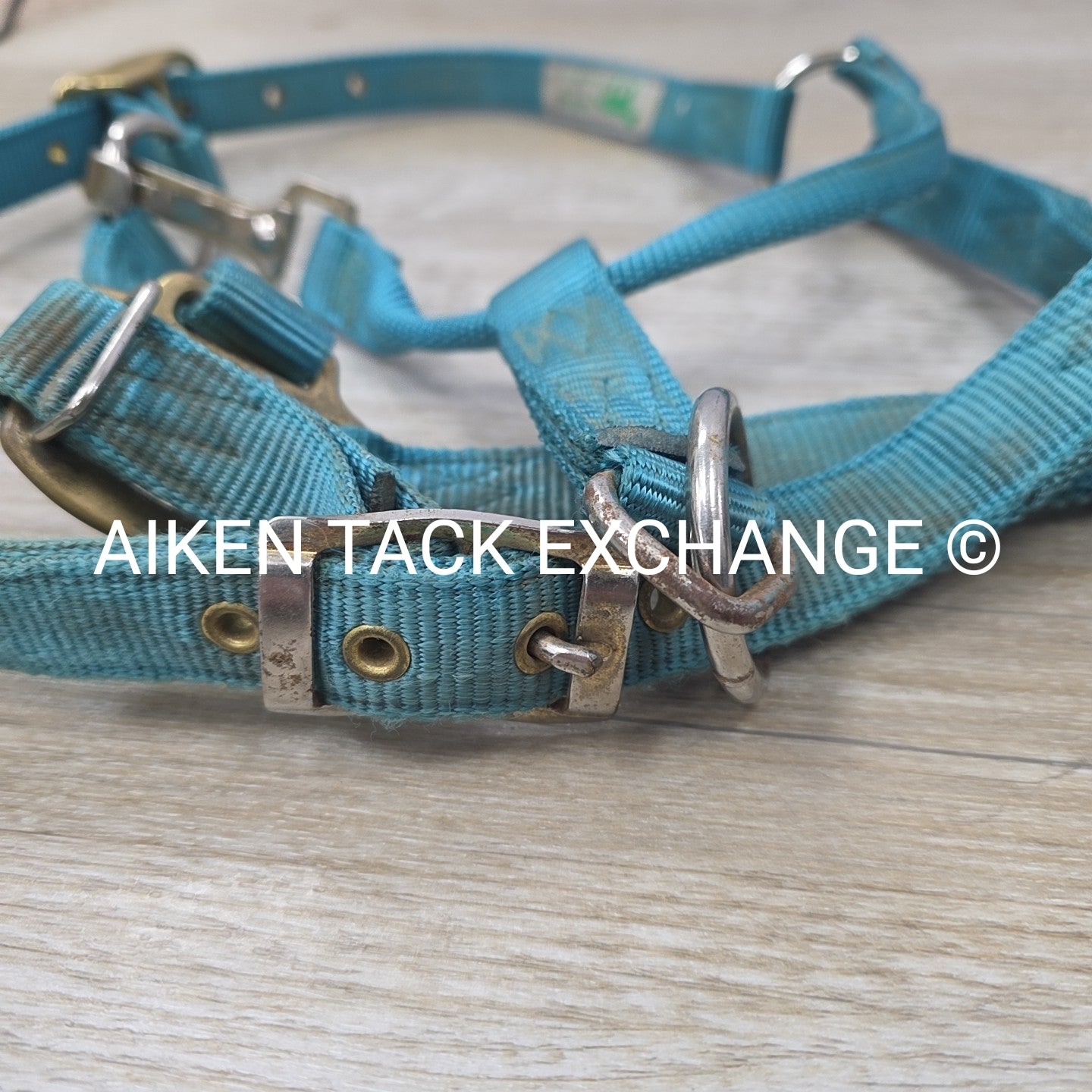 BARGAIN BUNDLE: 3 Nylon Halters, Various Sizes