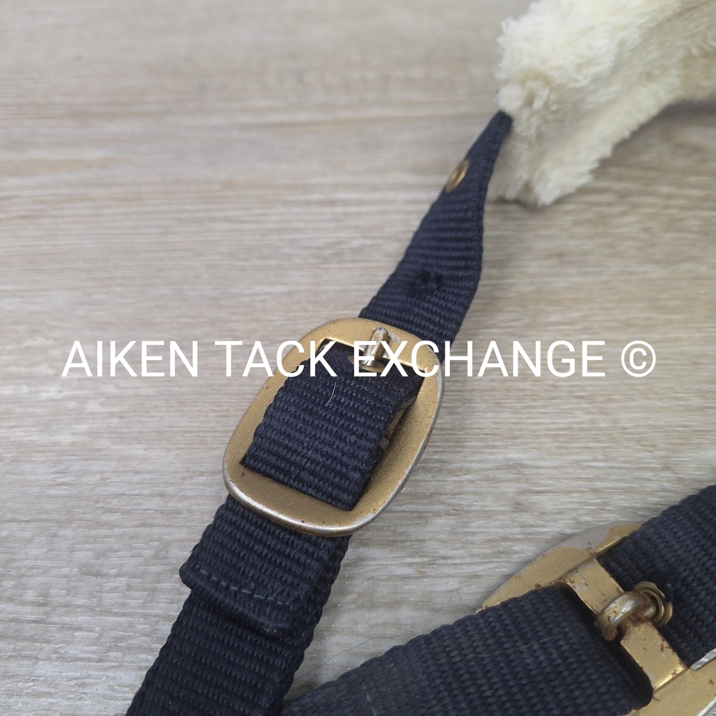 Horze Howard Halter & Lead Rope, Size Pony