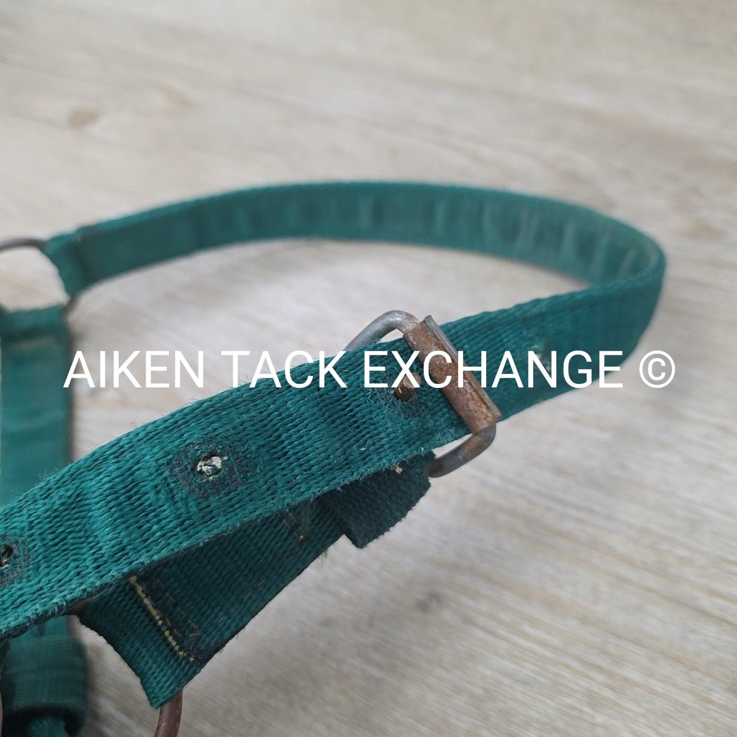 BARGAIN BUNDLE 5 Weaver Leather Nylon Halters, Size Horse