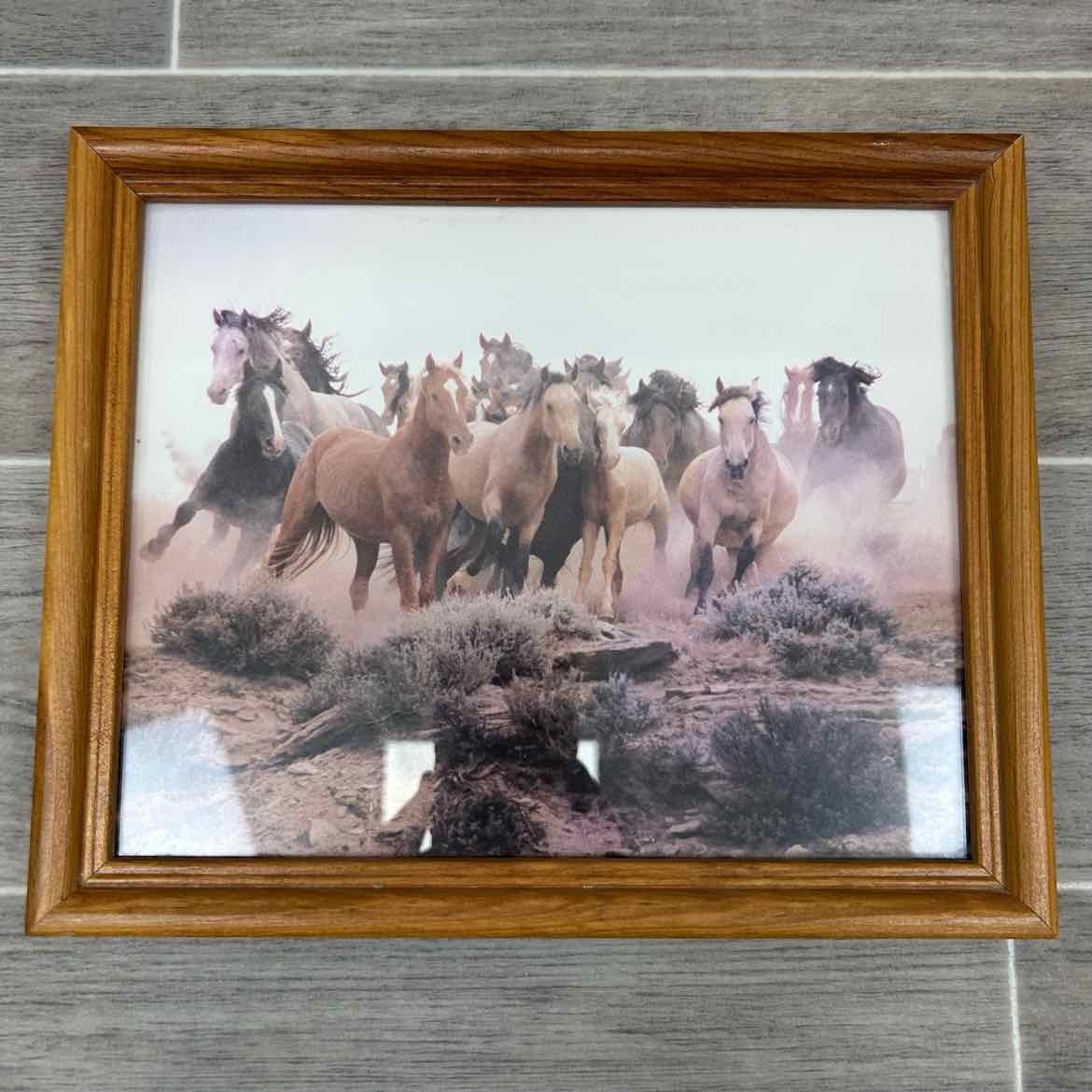 Framed Horse Photo 11" x 9"
