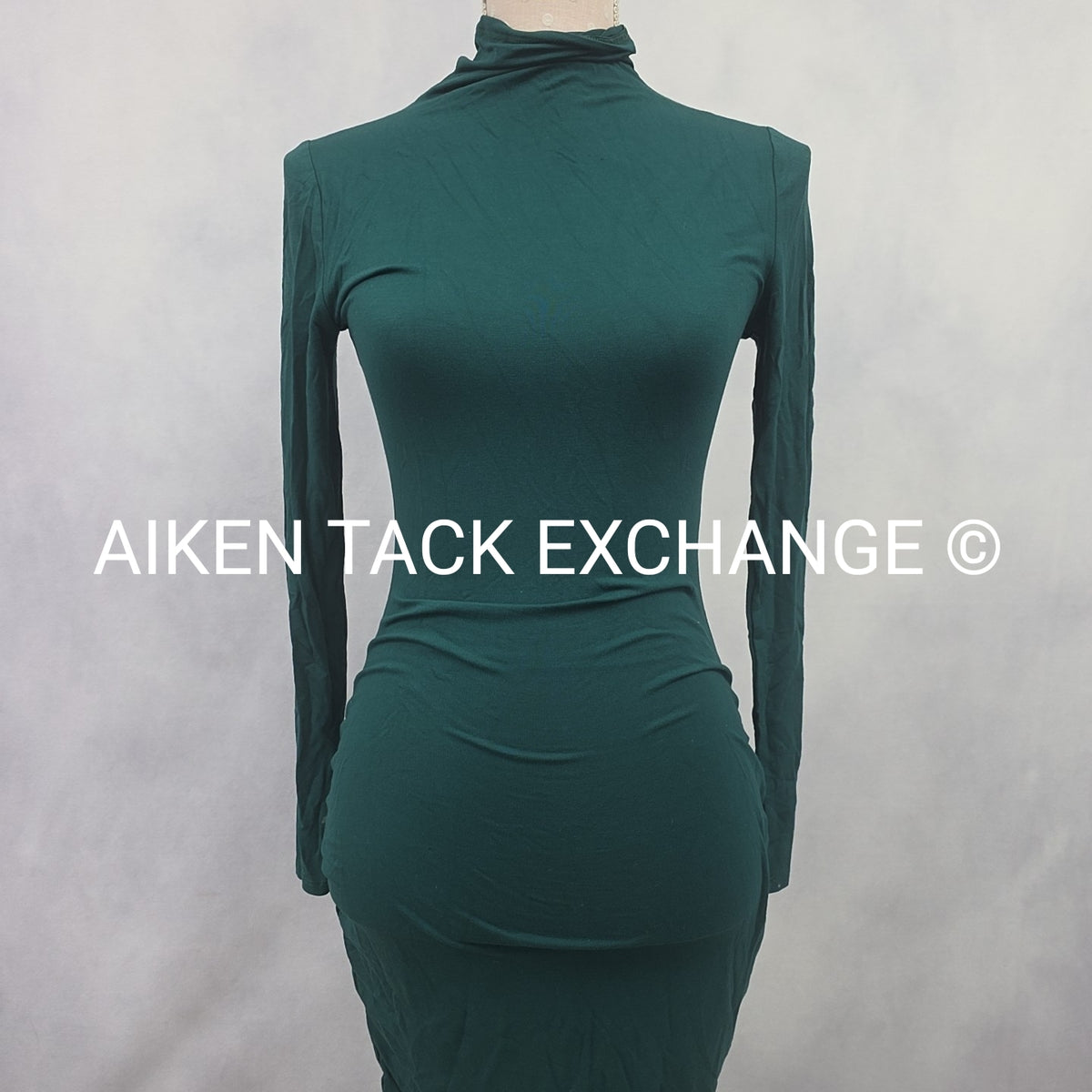 Venus Long Sleeve Dress, Size X-Small