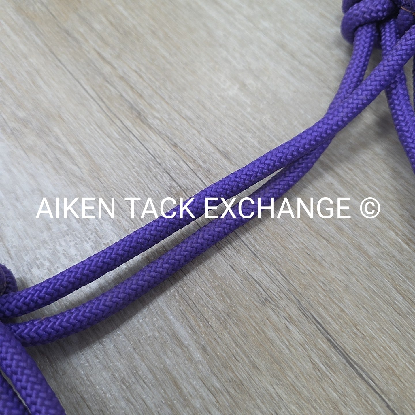 Rope Halter with Lead