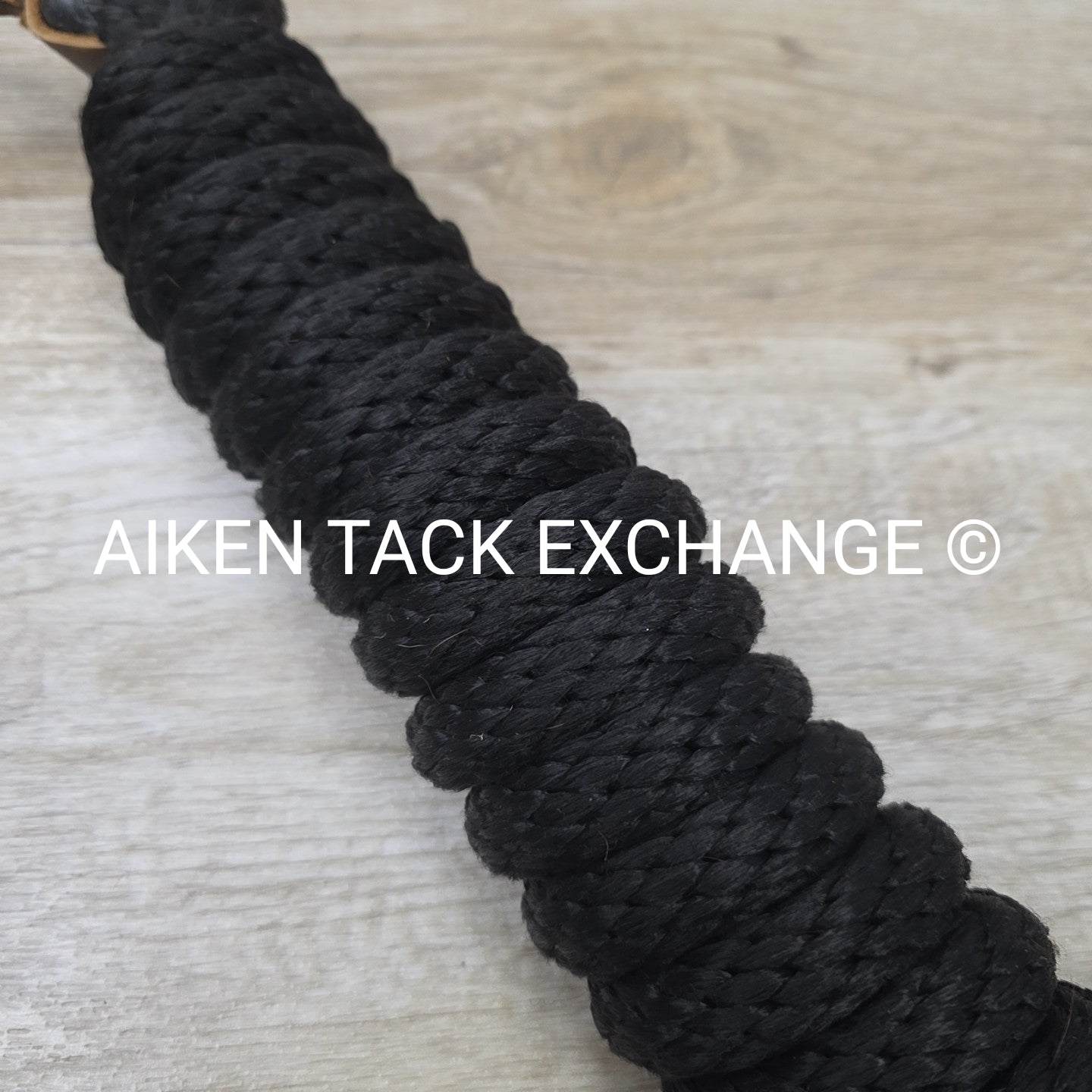 Weaver Leather Silvertip Tope Halter with Lead