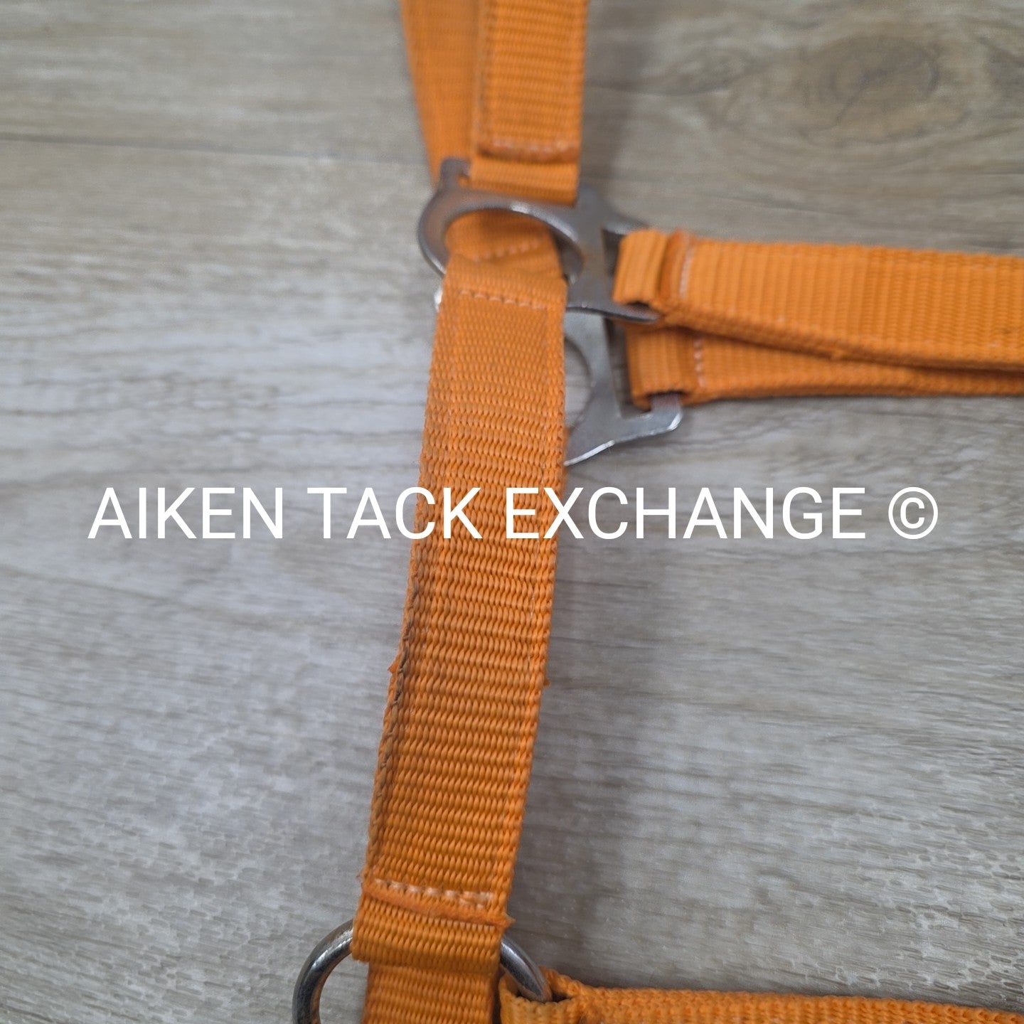 Nylon Halter, Size Full