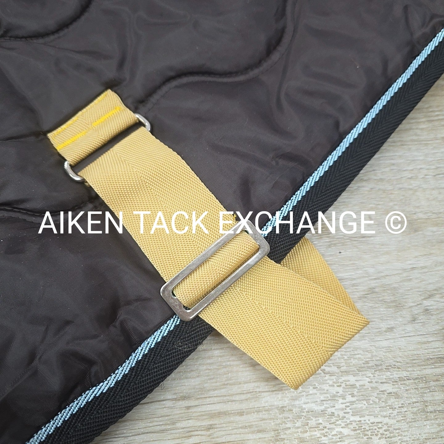 Harry Horse Dog Blanket, 26"