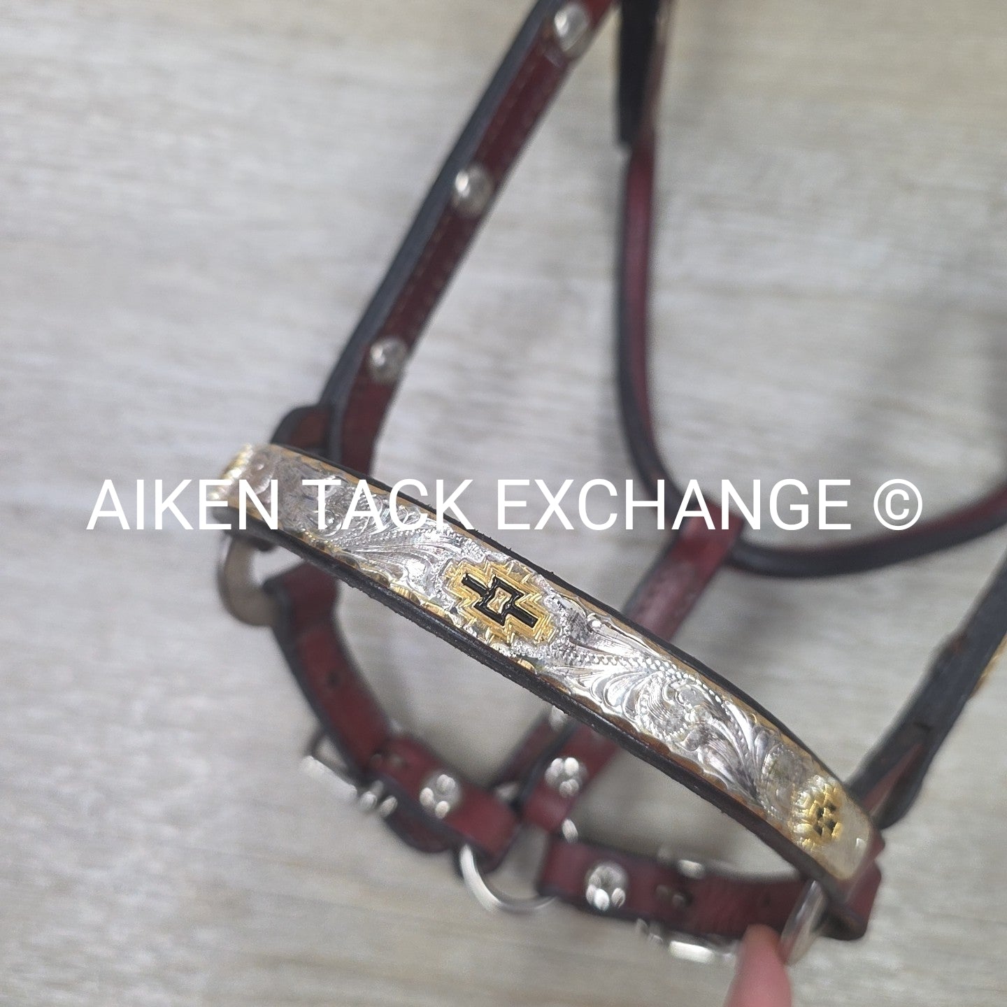 Western Show Halter, Size Foal