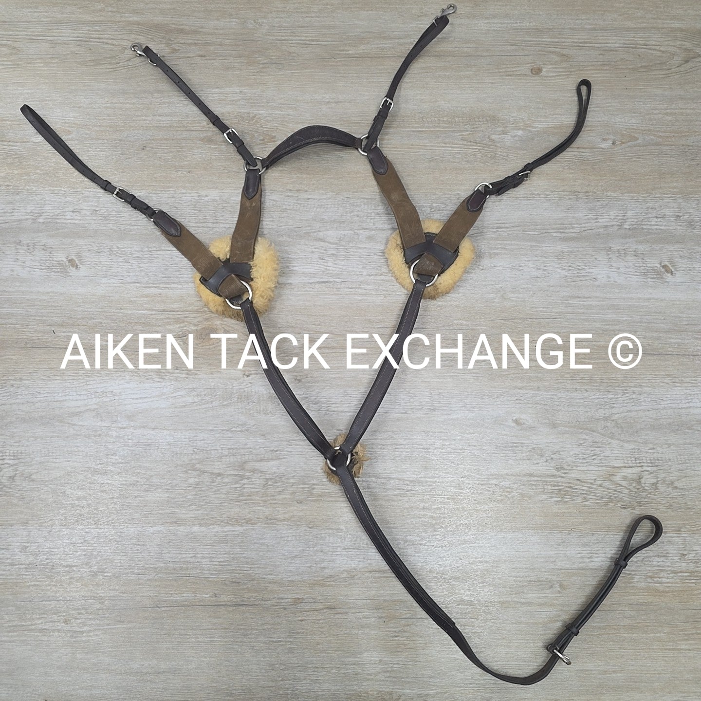 5 Point Breastplate, Brown, Size Full