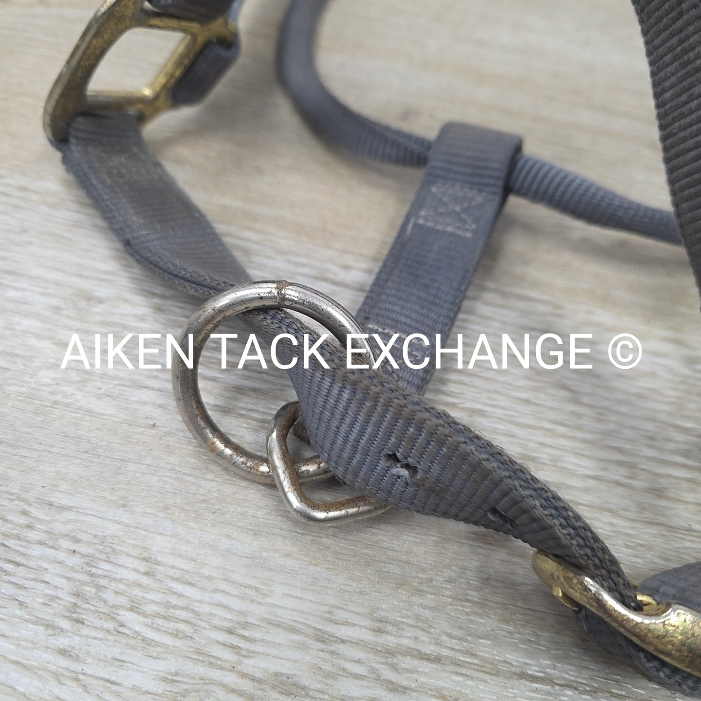 BARGAIN BUNDLE 3 Weaver Leather Nylon Halters, Size Horse