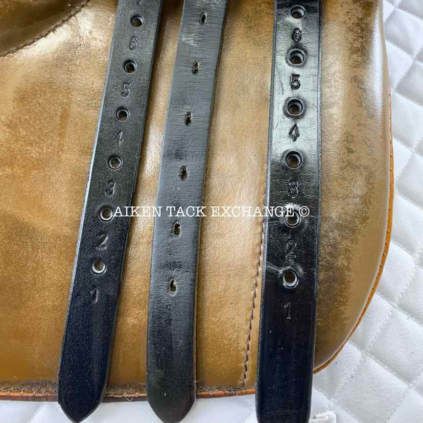 **SOLD** Stubben Siegfried Extra All Purpose Jump Saddle, 19" Seat, 31 cm Tree - Medium Wide/Wide, Wool Flocked Panels