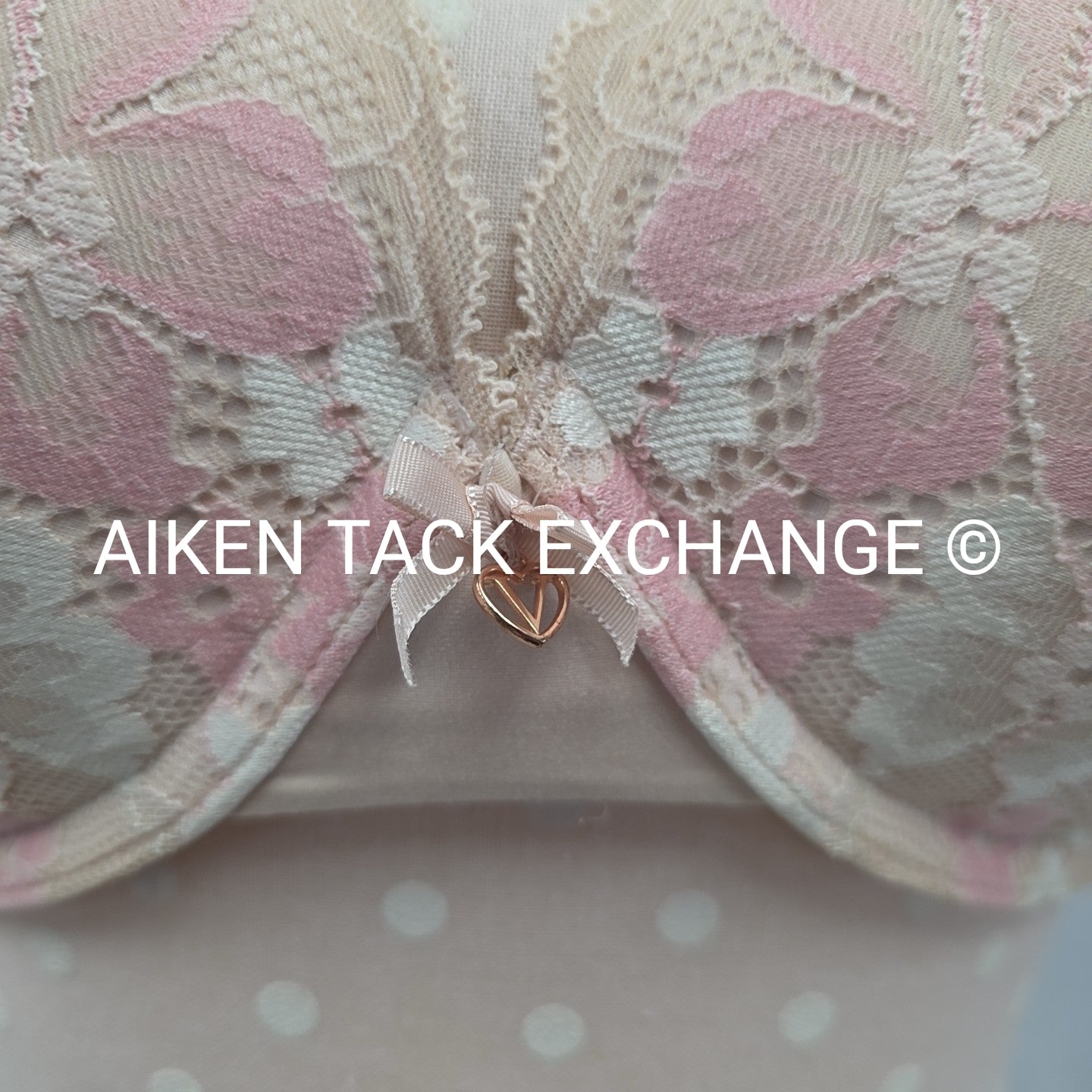 Victoria's Secret Love Cloud Incredible Perfect Shape Push-Up Bra, Size 34DDD