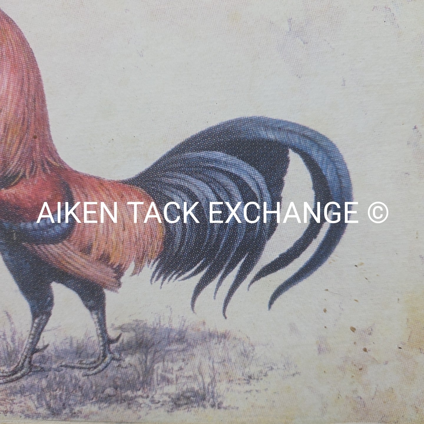 Rooster Print, 14" x 10"