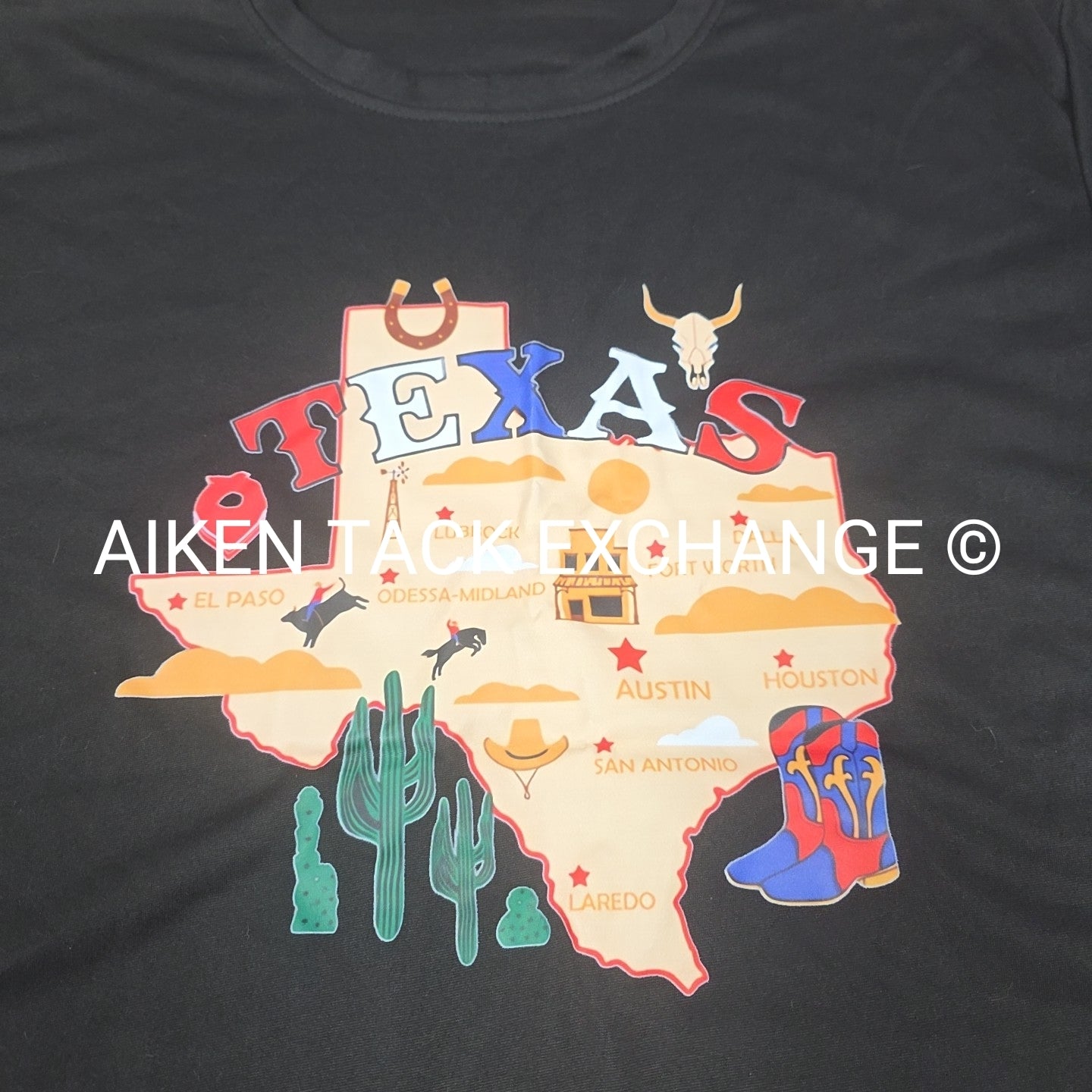 Texas T-Shirt, Size Large