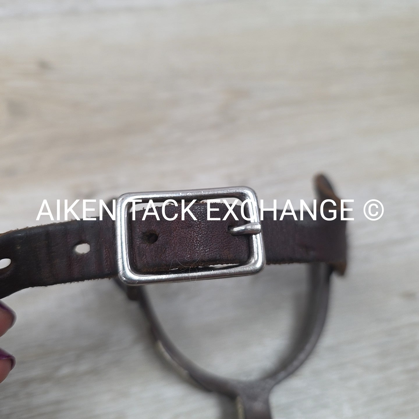 Classic Equine Cowboy Series Spurs with Chap Guard & Leather Spur Straps