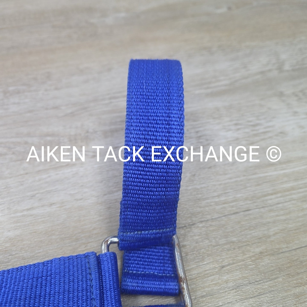 Nylon Halter, Draft
