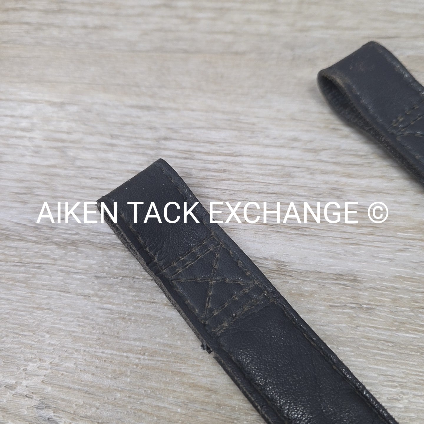 Wintec Webbers, Black