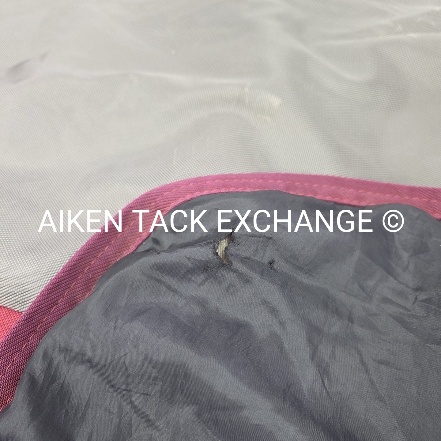 Dover Saddlery Riders International Medium Weight Turnout Blanket, 80"