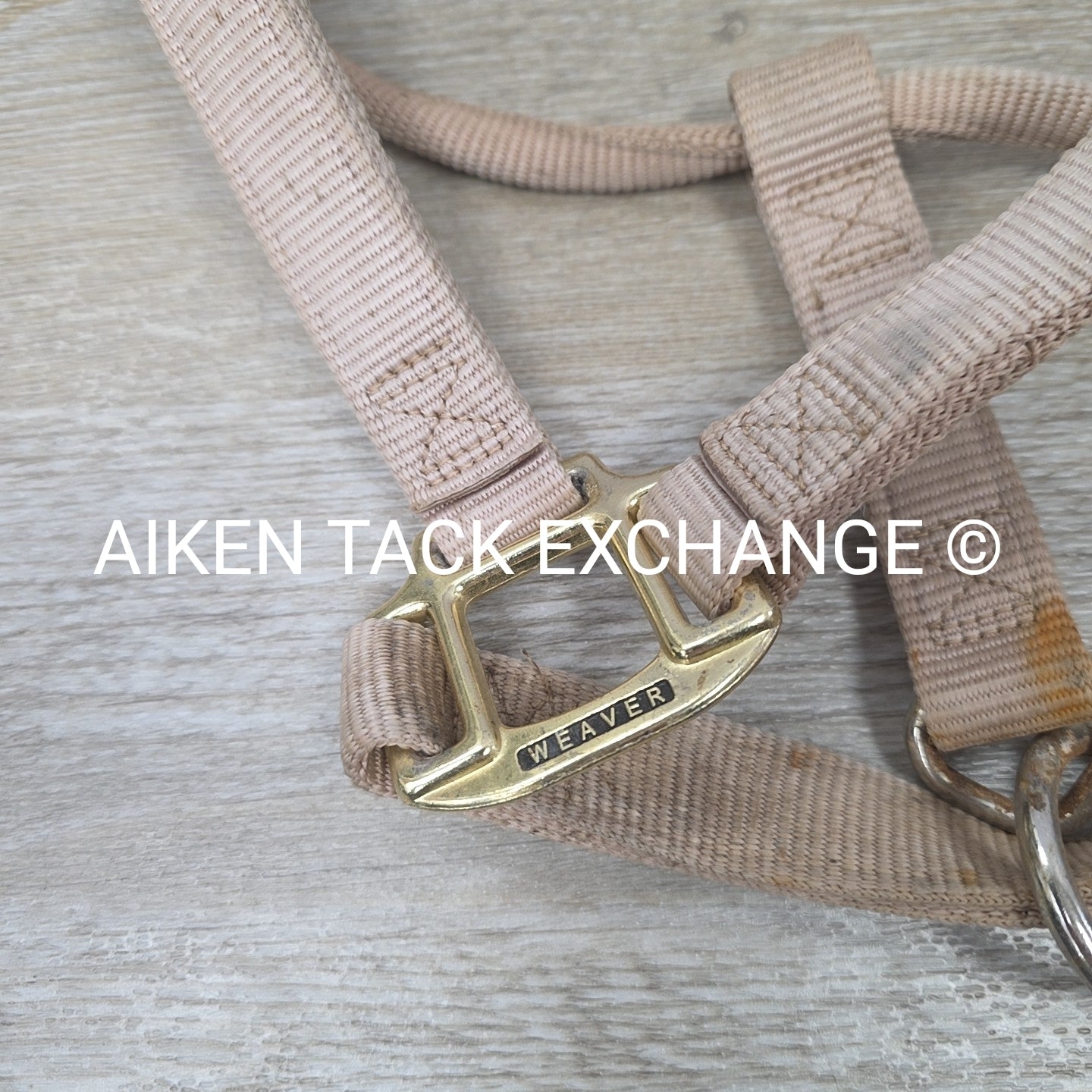 BARGAIN BUNDLE 4 Weaver Leather Nylon Halters, Size Large Horse