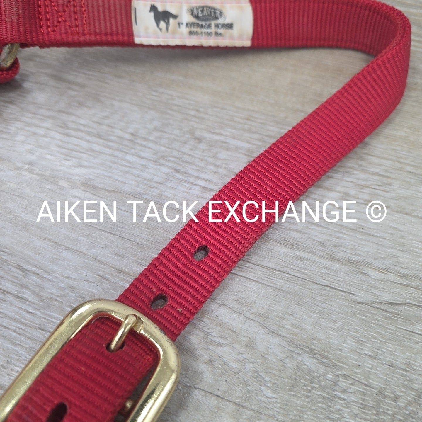 Weaver Nylon Halter, Average Horse