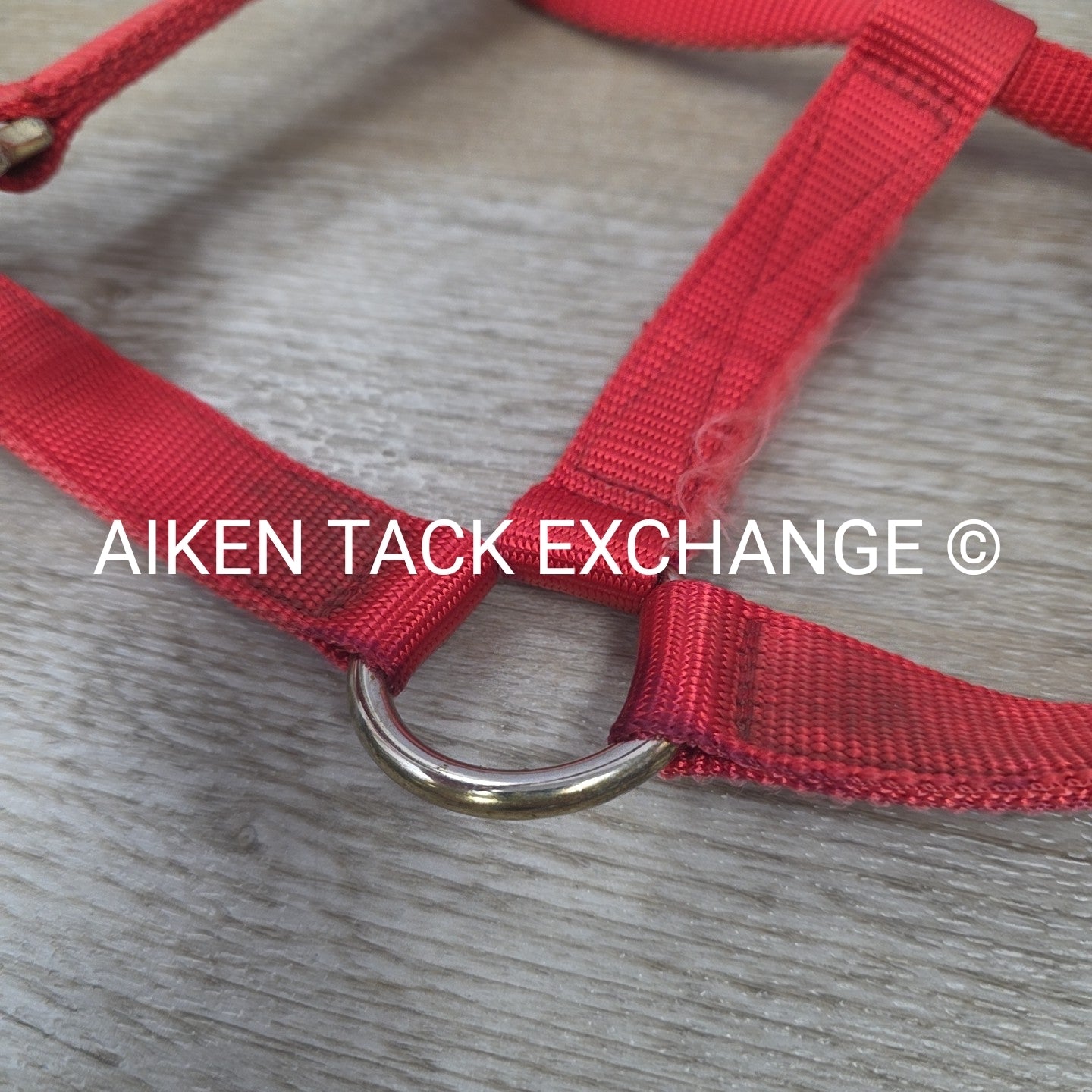 BARGAIN BUNDLE: Nylon Halter, Large, Nylon Halter Missing Crown, Full & Lead Rop