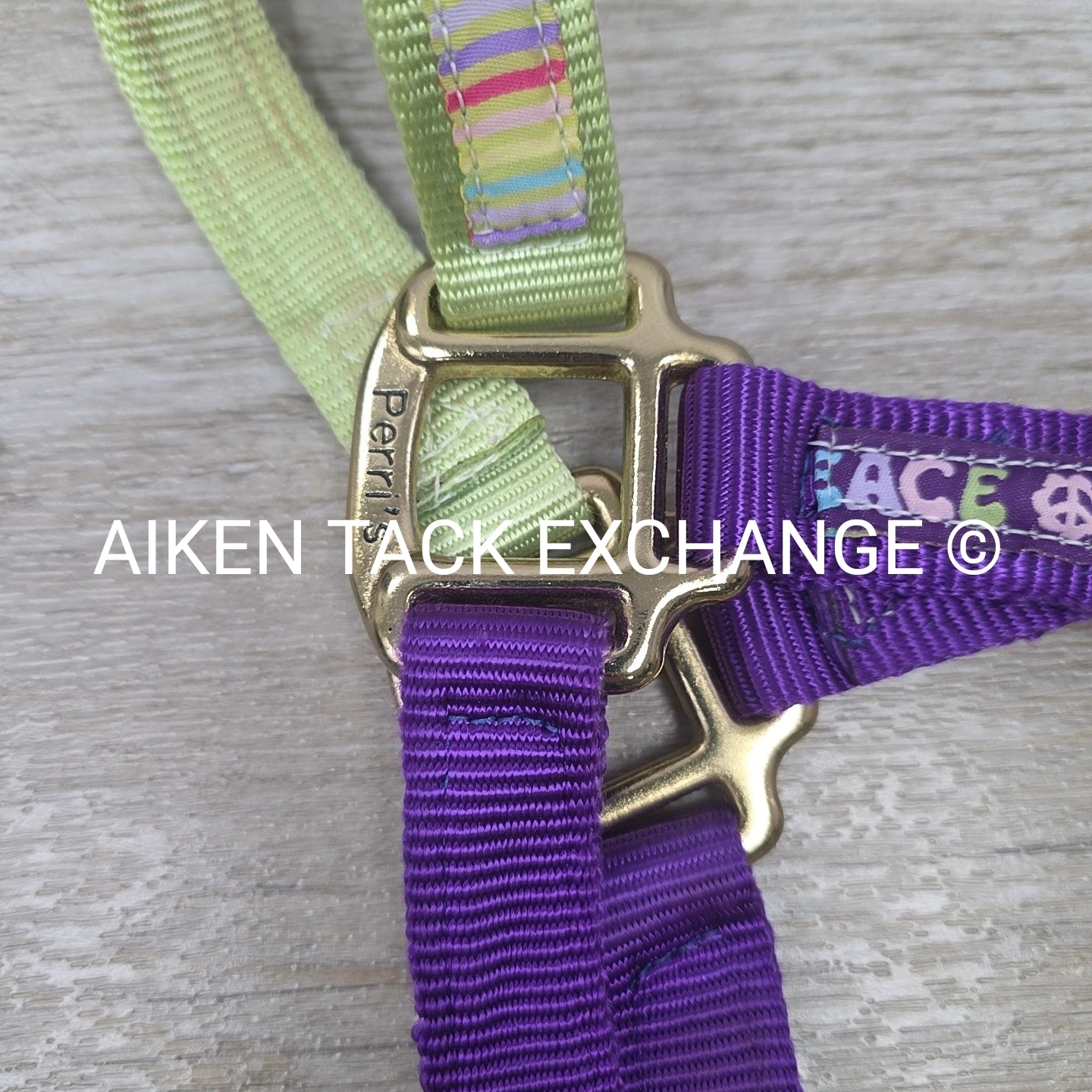 Perri's Nylon Breakaway Halter w/ Cotton Lead Rope, Size Cob
