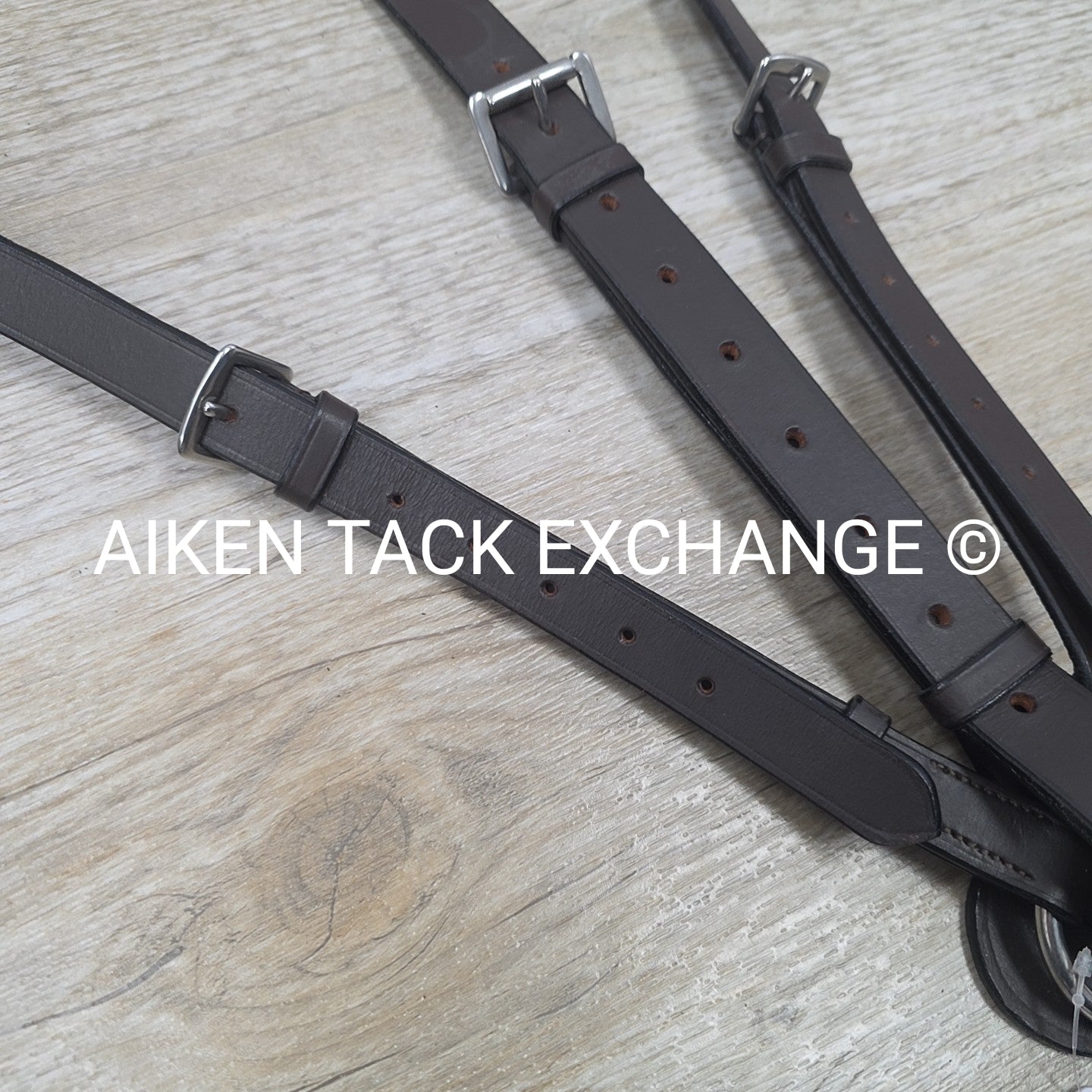 HDR Flat Breastplate with Standing Martingale Attachment, Havana, Oversize