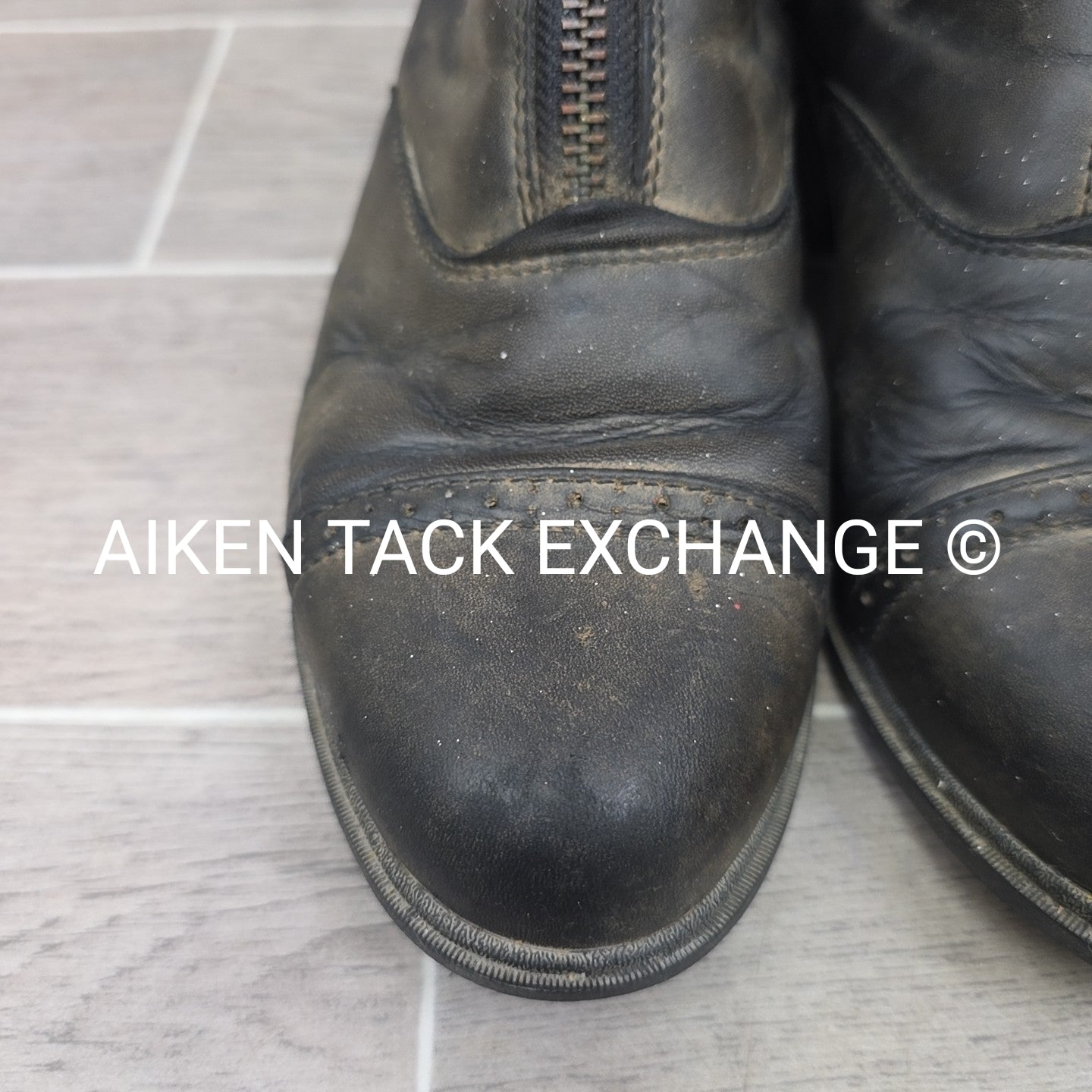 Ariat Devon Zip Paddock Boots, Size 7.5