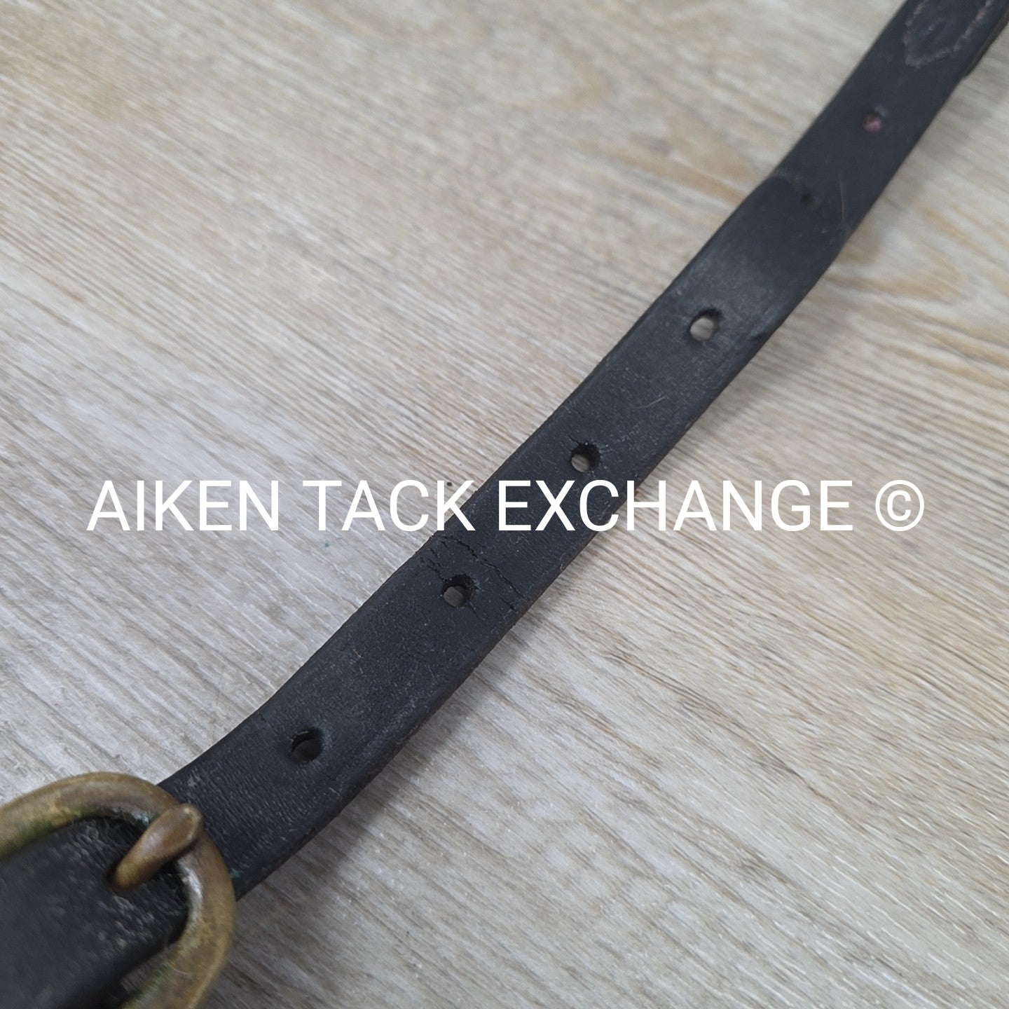 Nunn Finer Hunting Breastplate with Elastic, Black, Size Full