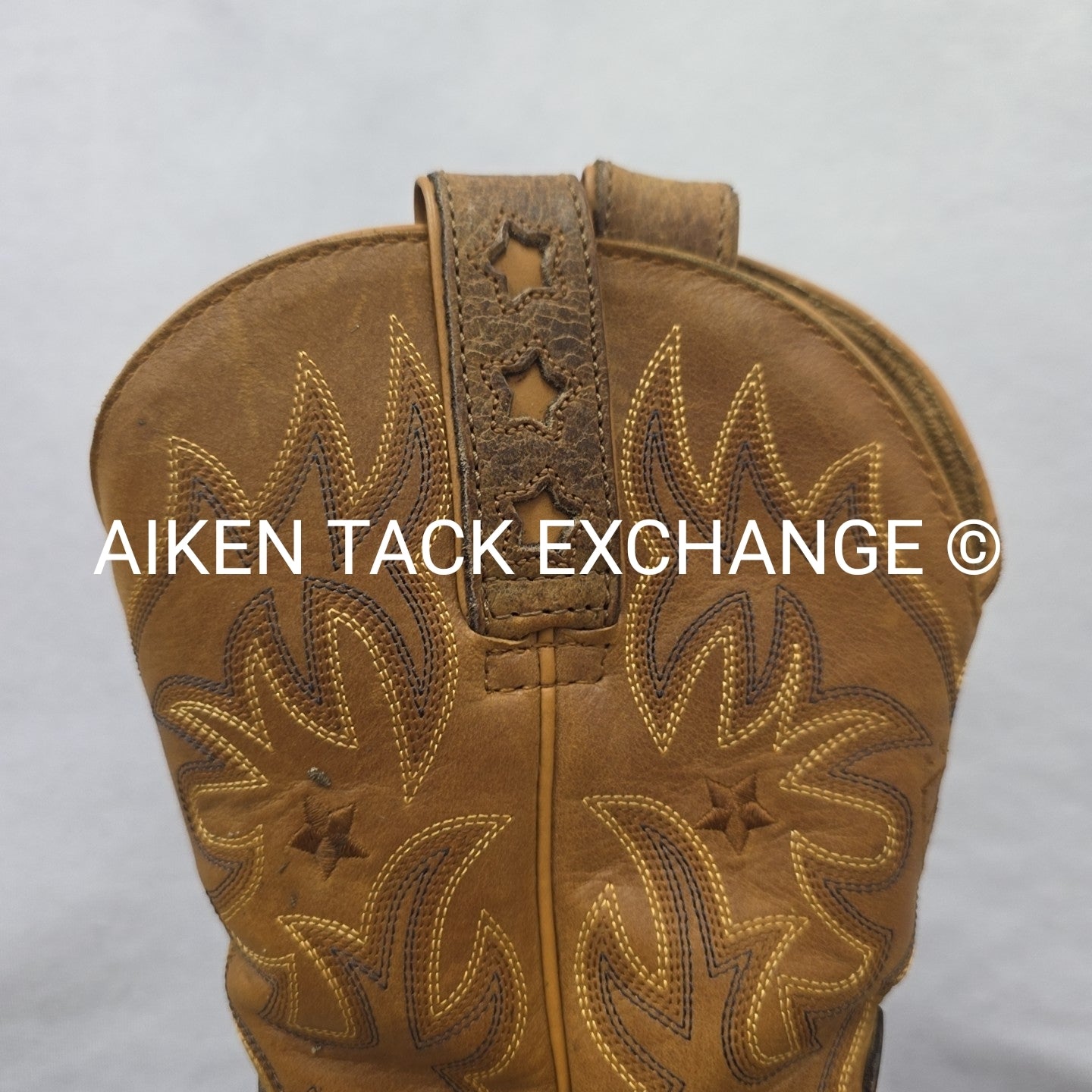 Ariat ProBaby Scotch Oiled Rowdy Boots, Women's 6
