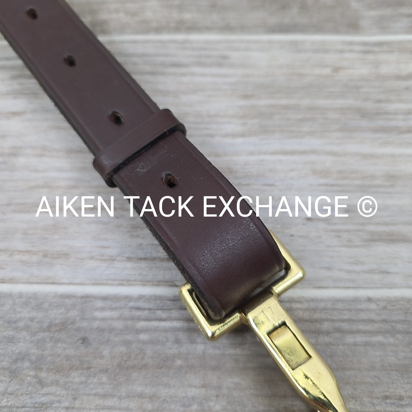 Plain Standing Martingale Attachment, Brown, Oversize