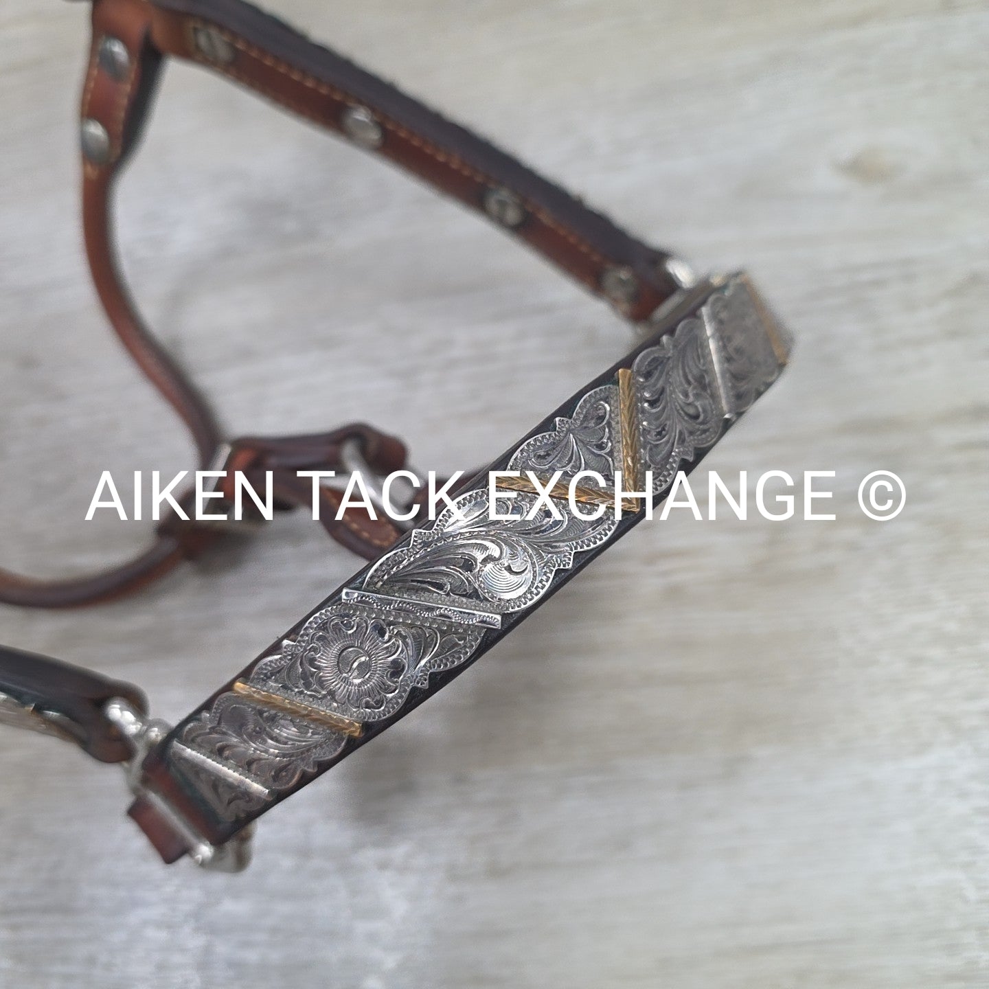 Western Show Halter, Size Foal