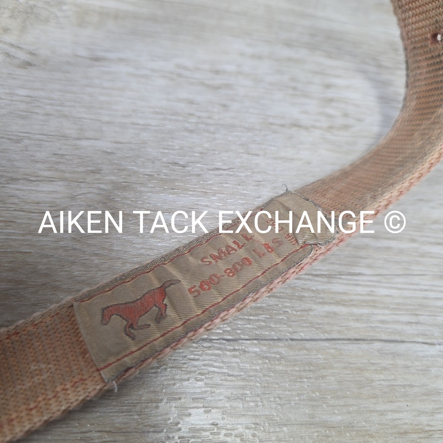 BARGAIN BUNDLE: Nylon Halter, Size Small with Lead Rope