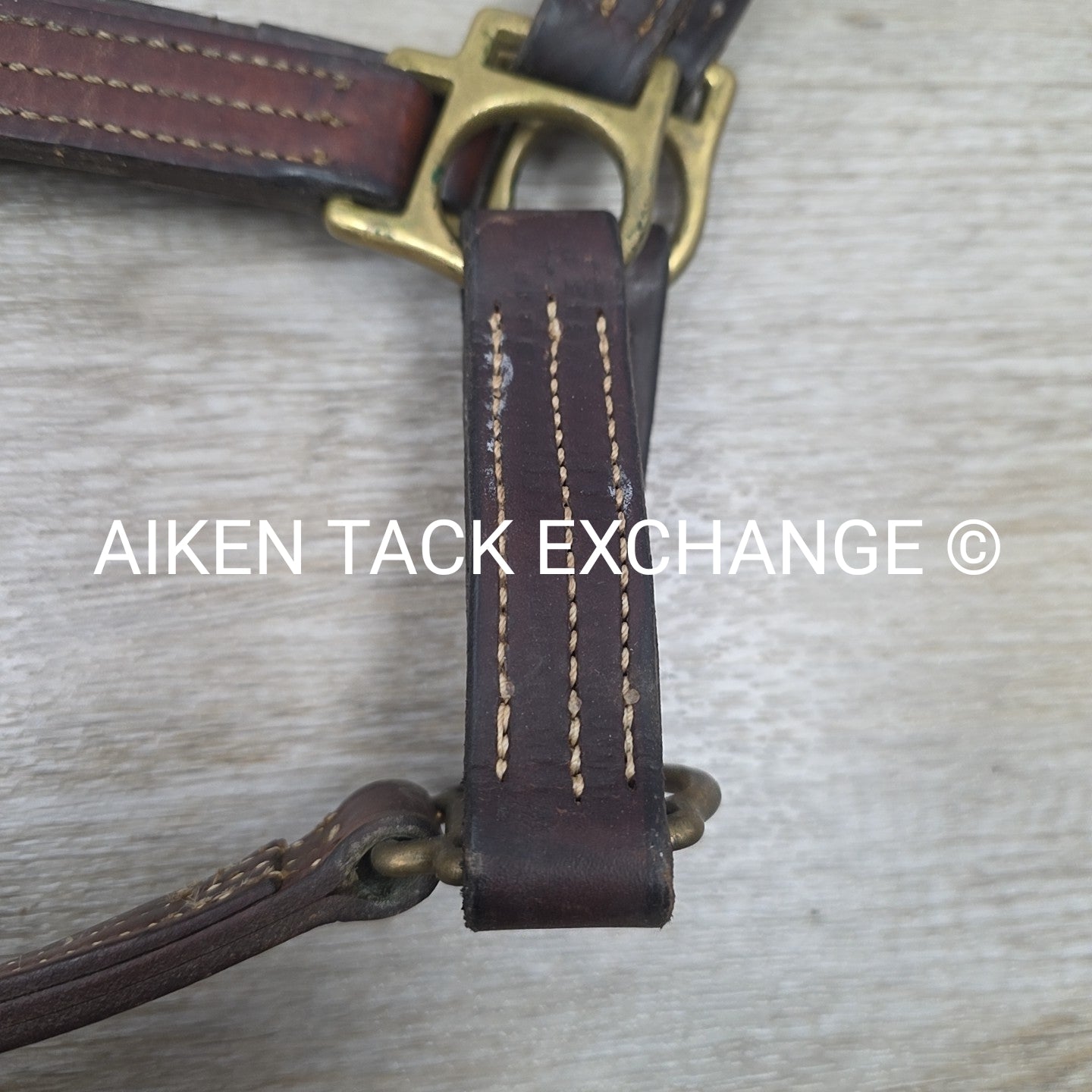 Walsh Triple Stitched Leather Halter, Has Name Plate, Size Cob
