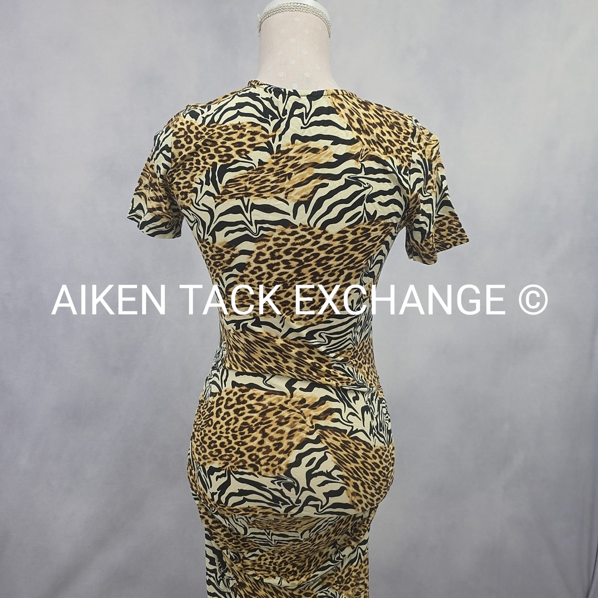 Venus Dress, Size X-Small