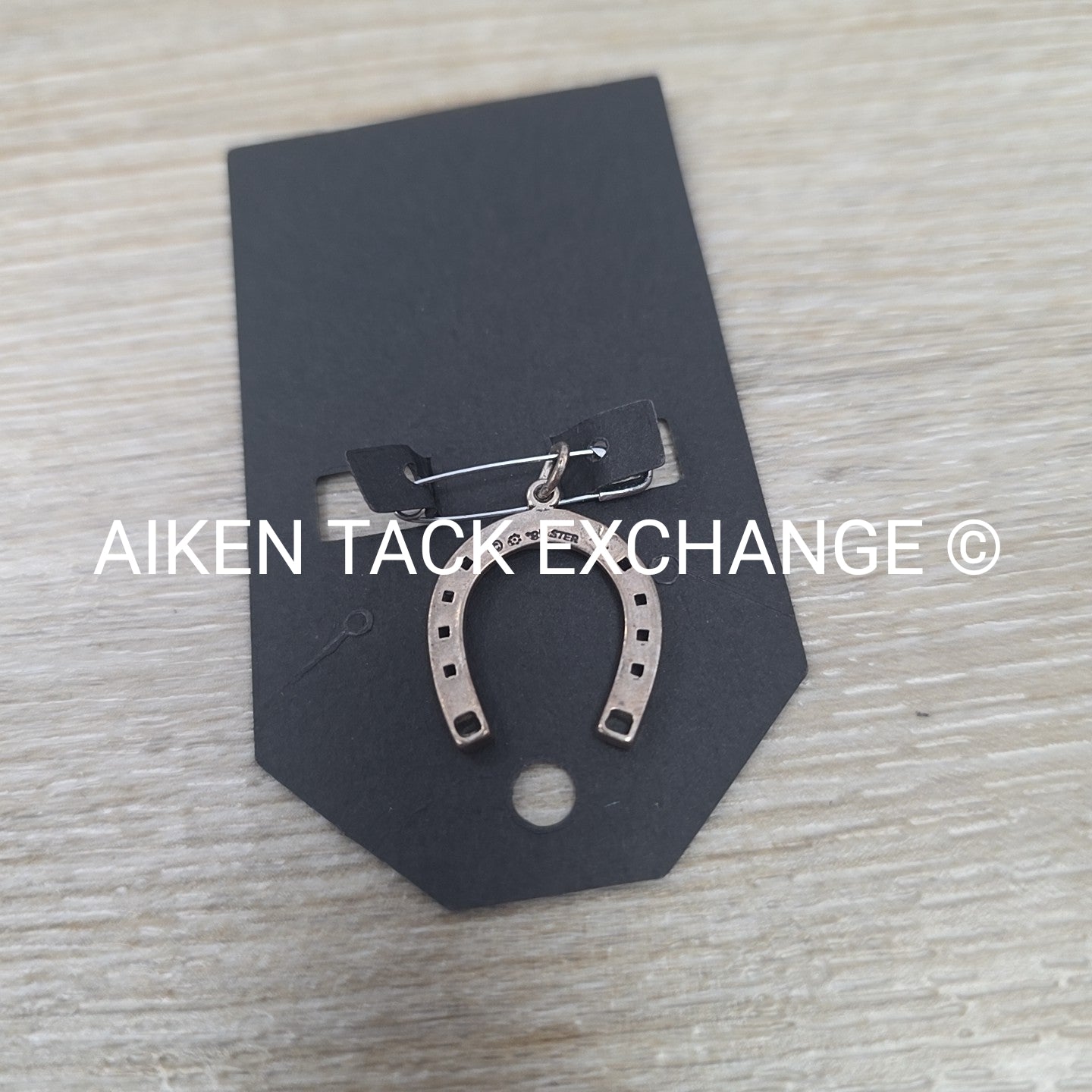 Sterling Silver Horse Shoe Pendent