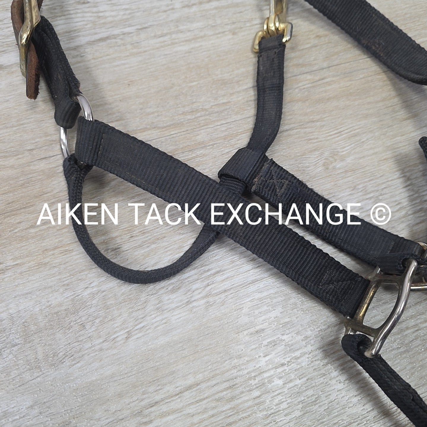 Perri's Nylon Breakaway Halter, Oversize