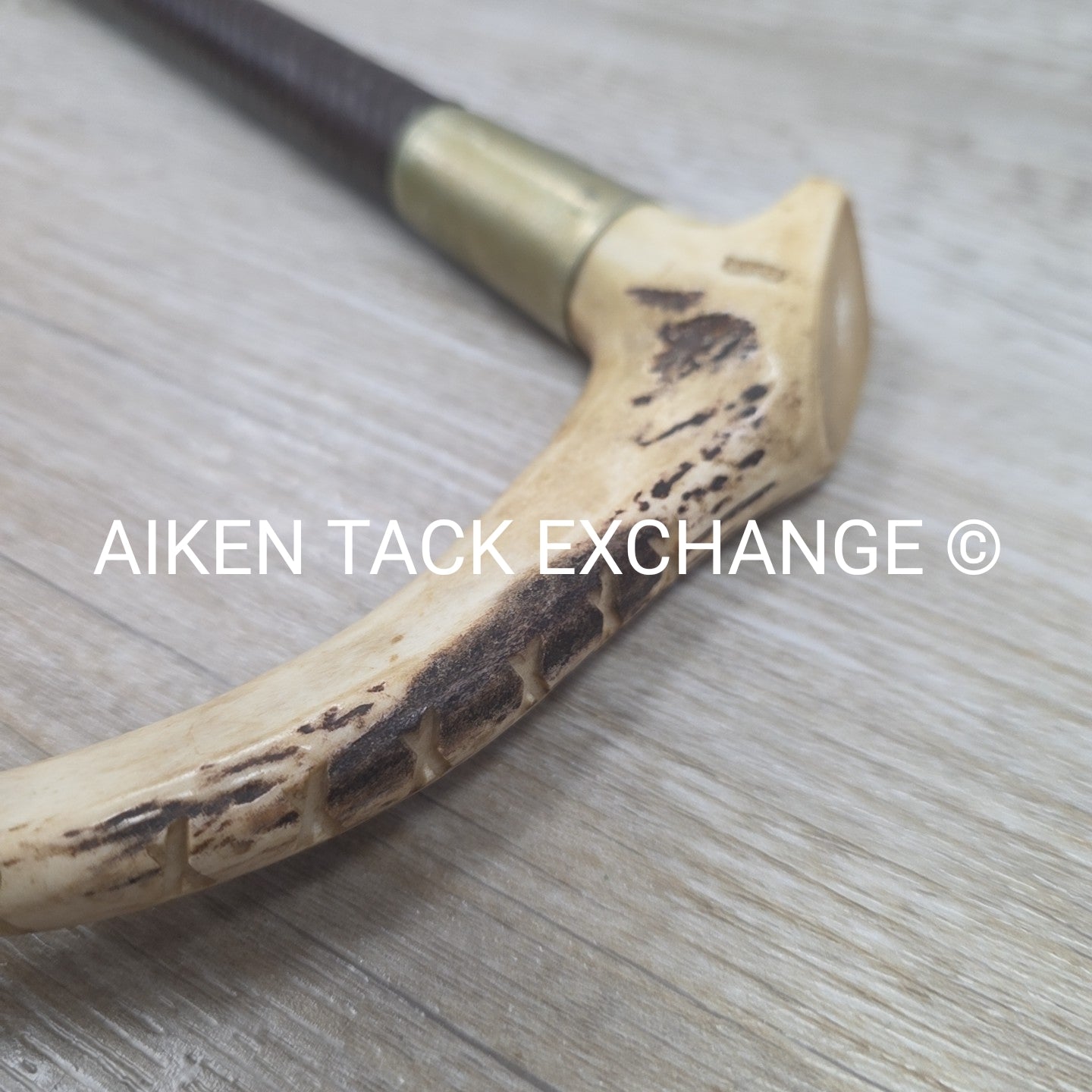 Men's Swaine Staghorn Hunt Whip with Thong / Lash