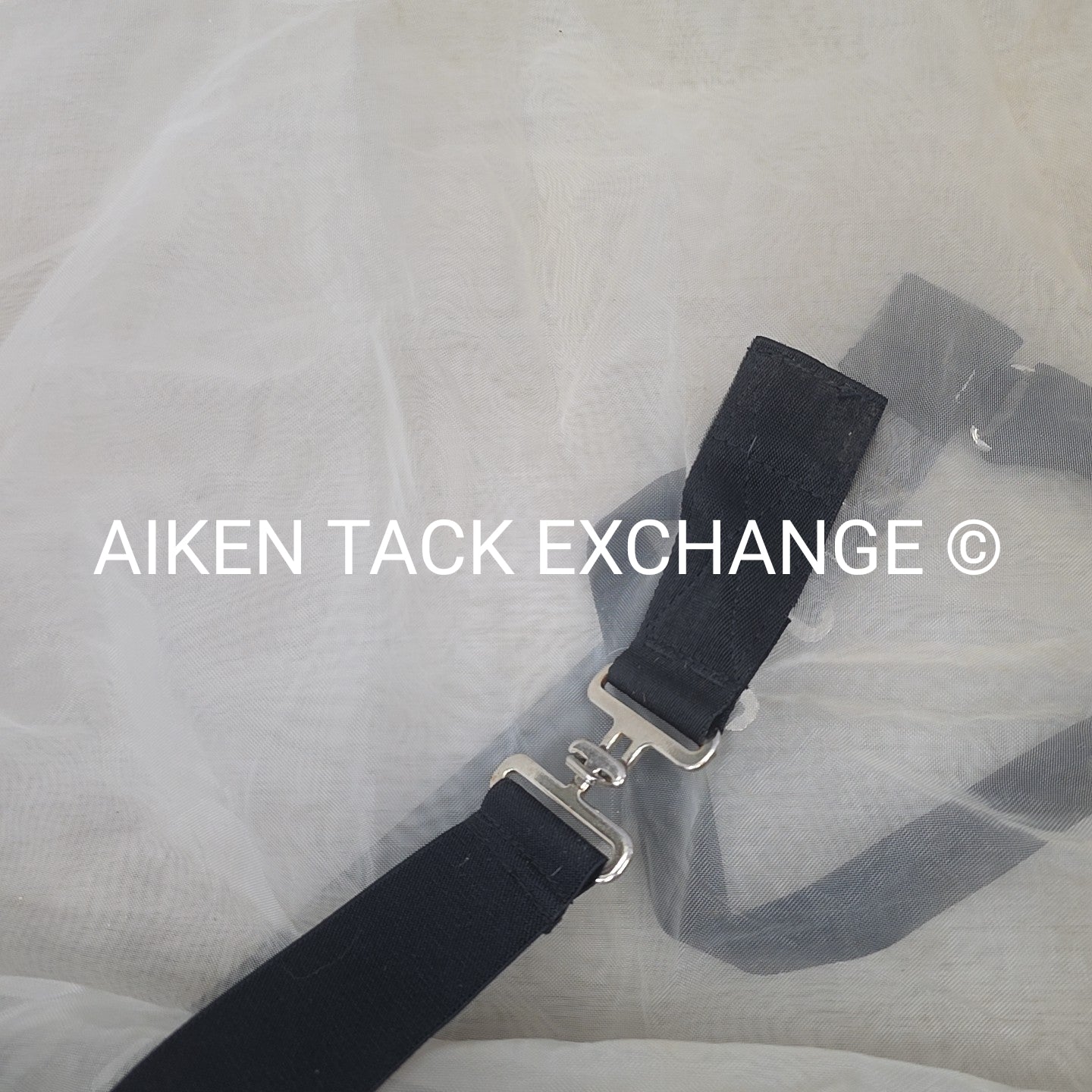 Fly Turtle Fly Sheet, 78"