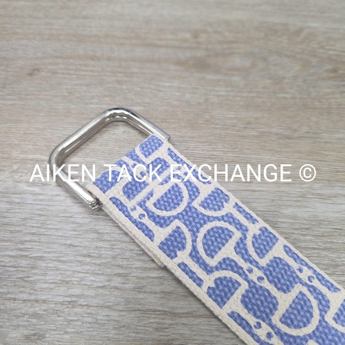 Ribbon Belt