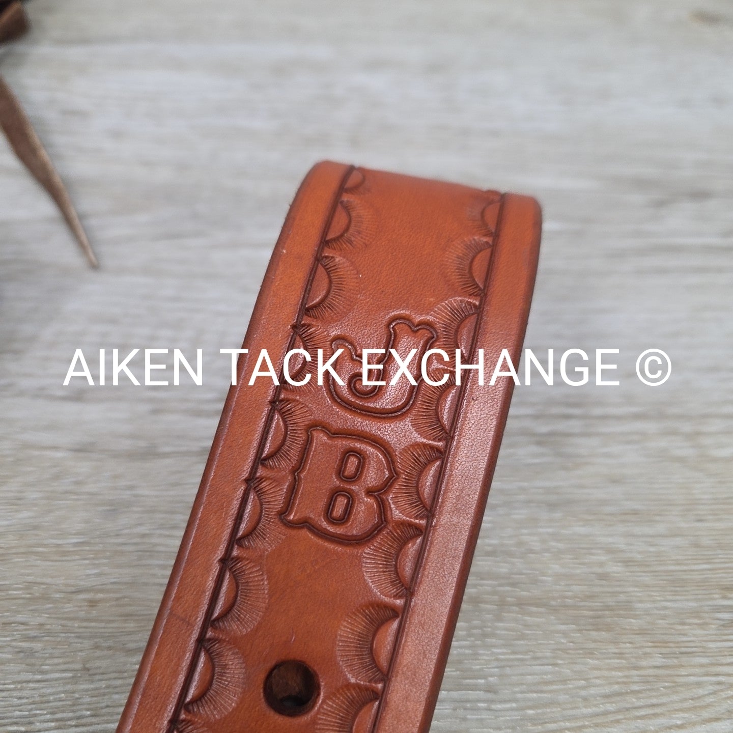 Rear Cinch Billets with Extenders