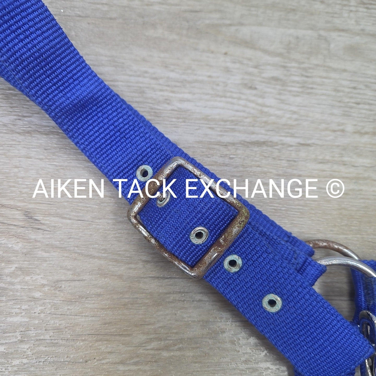 Nylon Halter, Draft