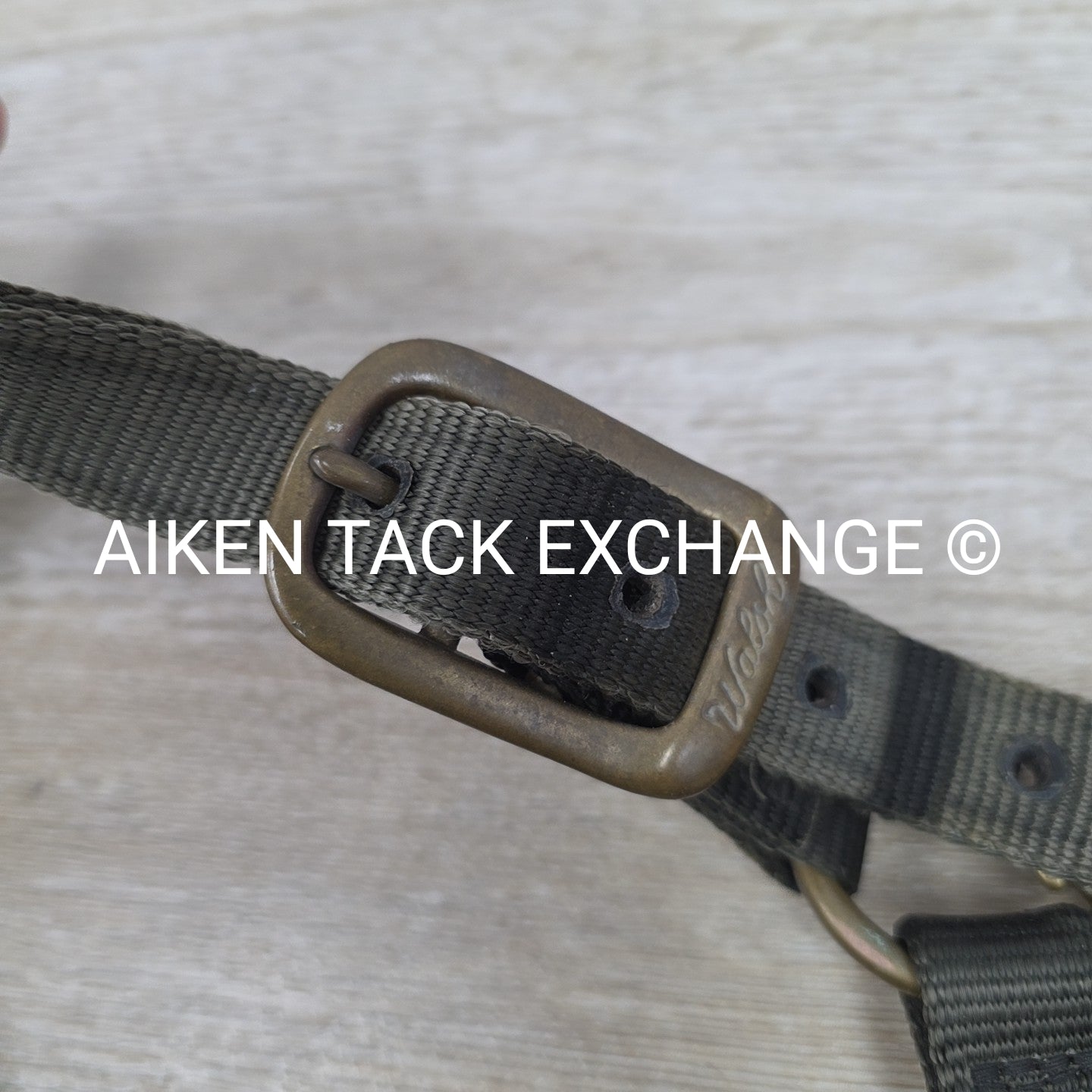 Walsh Nylon Halter, Size Cob