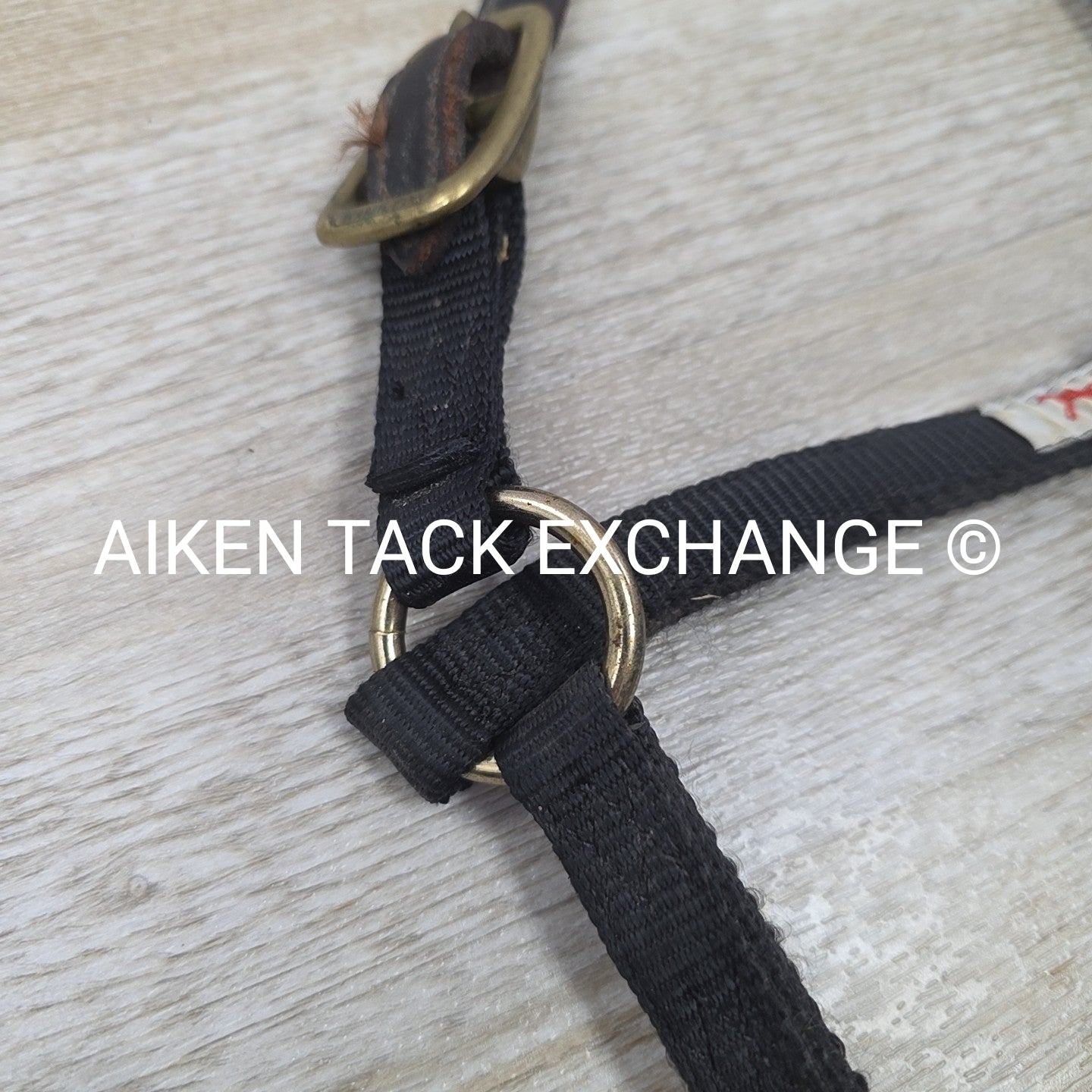 BARGAIN BUNDLE: 2 Nylon Breakaway Halters, Size Weanling / Pony