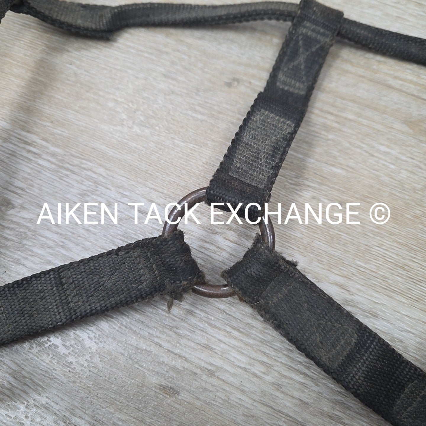 BARGAIN BUNDLE: 4 Weaver Leather Nylon Halters, Size Horse