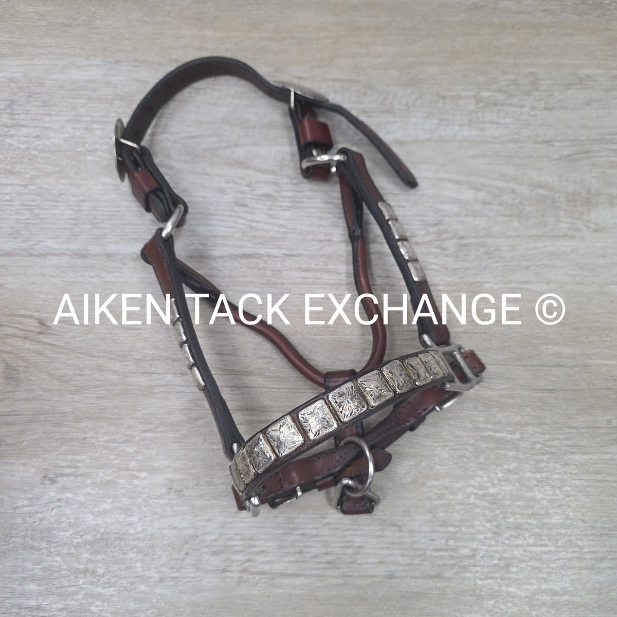 Western Show Halter, Size Foal