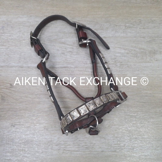 Western Show Halter, Size Foal
