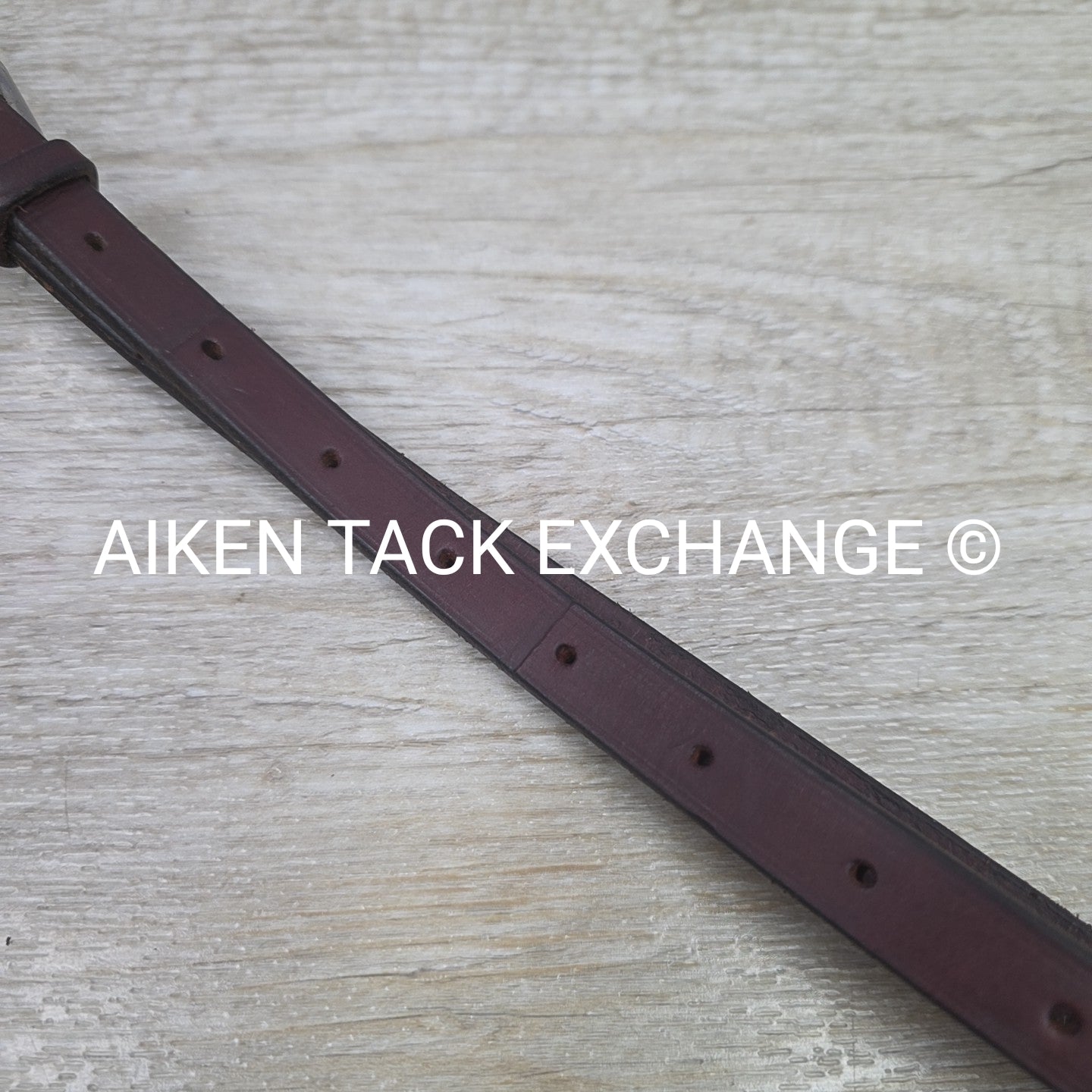 Fancy Stitched Raised Standing Martingale. Brown, Size Full