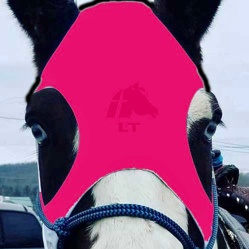 Fenwick Equestrian Original Liquid Titanium LT Mask