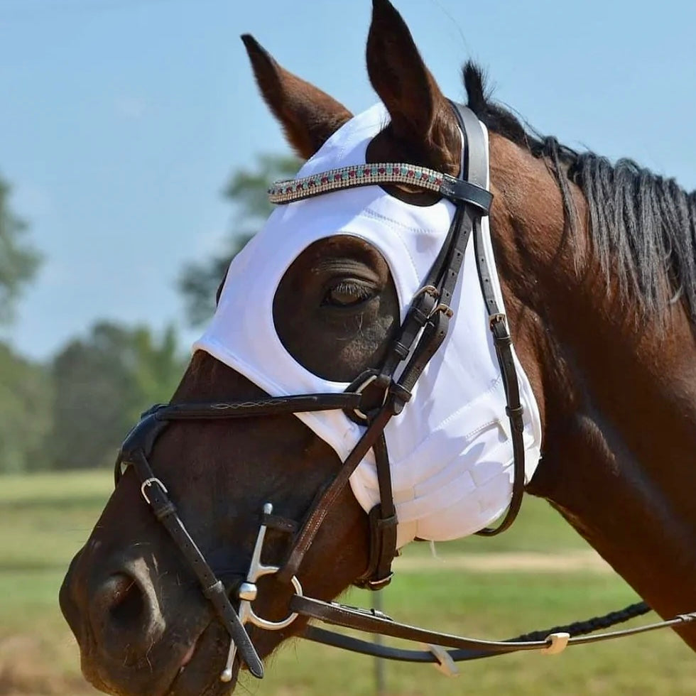 Fenwick Equestrian Original Liquid Titanium LT Mask