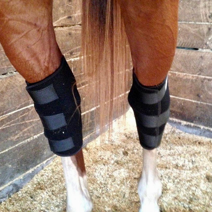 Hock boots for horses top